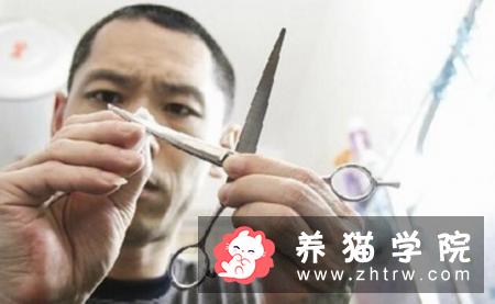 狗为什么知道主人要带它们去动物医院看兽医？