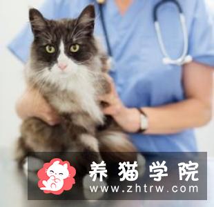 狗为什么知道主人要带它们去动物医院看兽医？