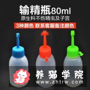 如何给猫人工受孕 从采精到输精4个步骤
