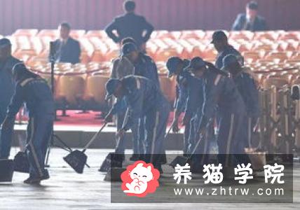 直击蛙牌鲜肉宠粮生产，7万人次在线观看的奥秘！