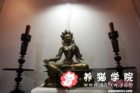 从马具转战到宠物用品，国王世家今年准备这样做