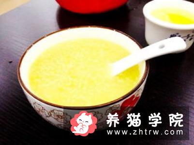 猫应该吃什么 为了猫的健康提倡吃猫粮