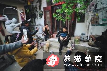 直击蛙牌鲜肉宠粮生产，7万人次在线观看的奥秘！