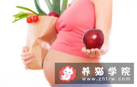 夫妻养狗两年体重减掉72斤，还治好了高血压