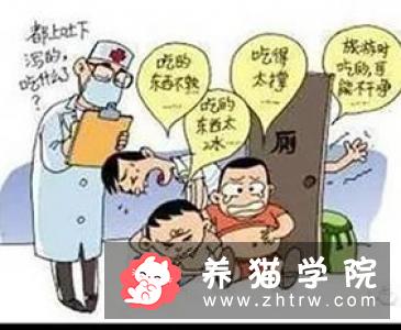 新猫有哪些可能得的传染病
