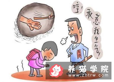 狗忠诚的原因到底是什么？国外做了一项有意思的研究