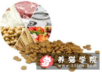 猫应该吃什么 为了猫的健康提倡吃猫粮
