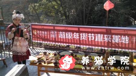 直击蛙牌鲜肉宠粮生产，7万人次在线观看的奥秘！
