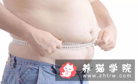 夫妻养狗两年体重减掉72斤，还治好了高血压
