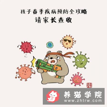 新猫有哪些可能得的传染病