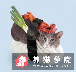 怎么给猫咪做金枪鱼蛋糕