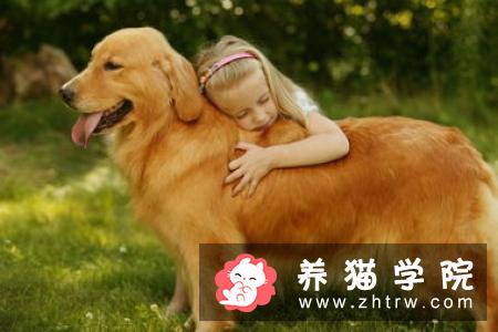 杜宾犬的美容技巧和注意事项