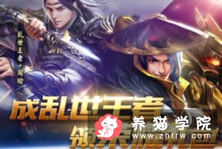 从马具转战到宠物用品，国王世家今年准备这样做